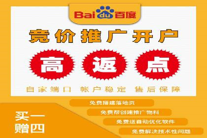 谷歌SEM与移动端优化：某APP的推广策略及效果